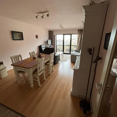 Frontaal Zeezicht In De Strandjutter Appartement *